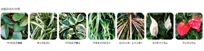 画像:組み合わせ例